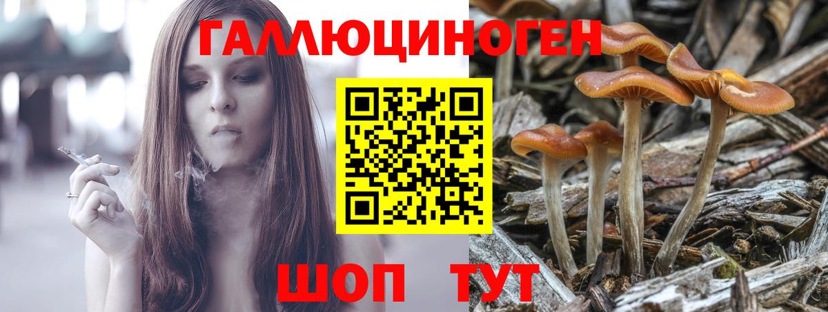 Псилоцибиновые грибы мухоморы  Вход с VPN  Ейск 
